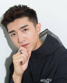 丑帅中国男明星,那些颜值与实力并存的男明星风采