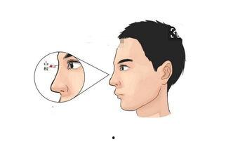 伏羲鼻照片,探寻华夏始祖的神秘面容